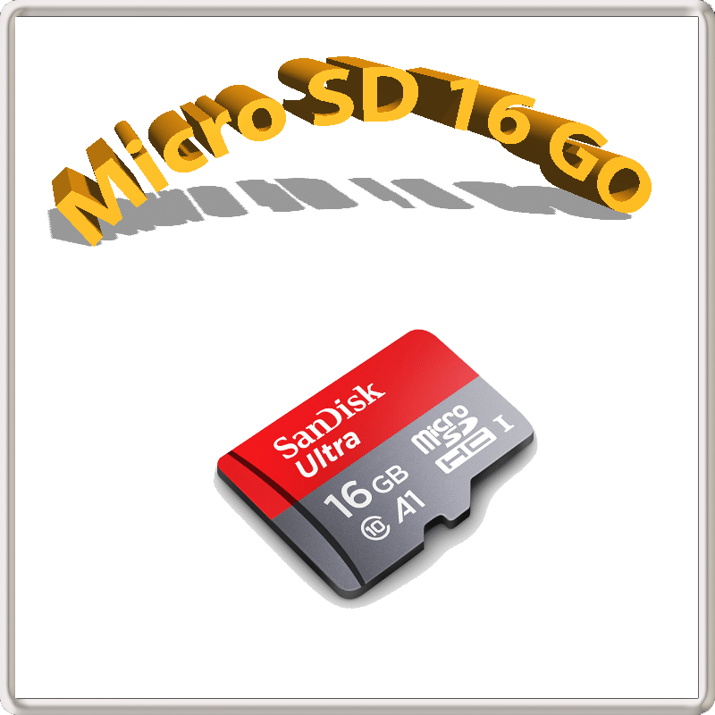 Boutique rétro gaming-Carte micro SD 16 GO Scandisck-Optimal pro tech
