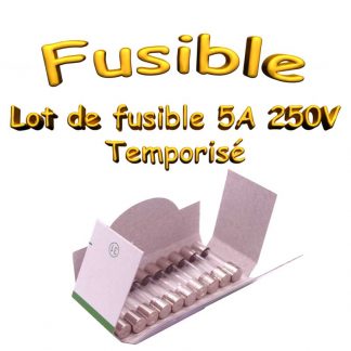 Lot de 10 Fusibles Temporisé 5A 250v -T5AL250V -5x20mm