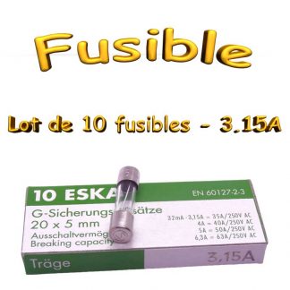 Lot de 10 Fusibles Temporisé 3.15A 250v -T3.15AL250V -5x20mm
