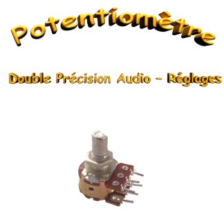 Potentiomètre Rotatif Double Type 16 (2 Voies) B100K