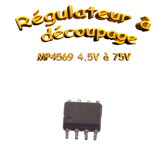 Convertisseur Abaisseur Synchrone MP4569